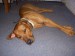 DSCN0007.jpg